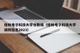 桂林电子科技大学分数线（桂林电子科技大学调剂信息2023）